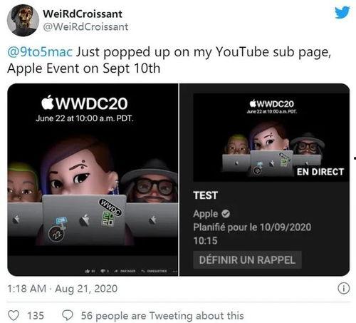 最新爆料官方消息,揭秘重大事件背后真相