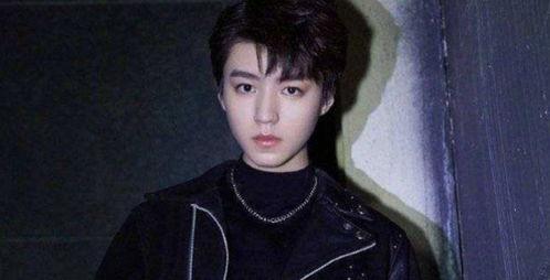 直播王俊凯爆料视频下载,揭秘娱乐圈幕后故事  第3张